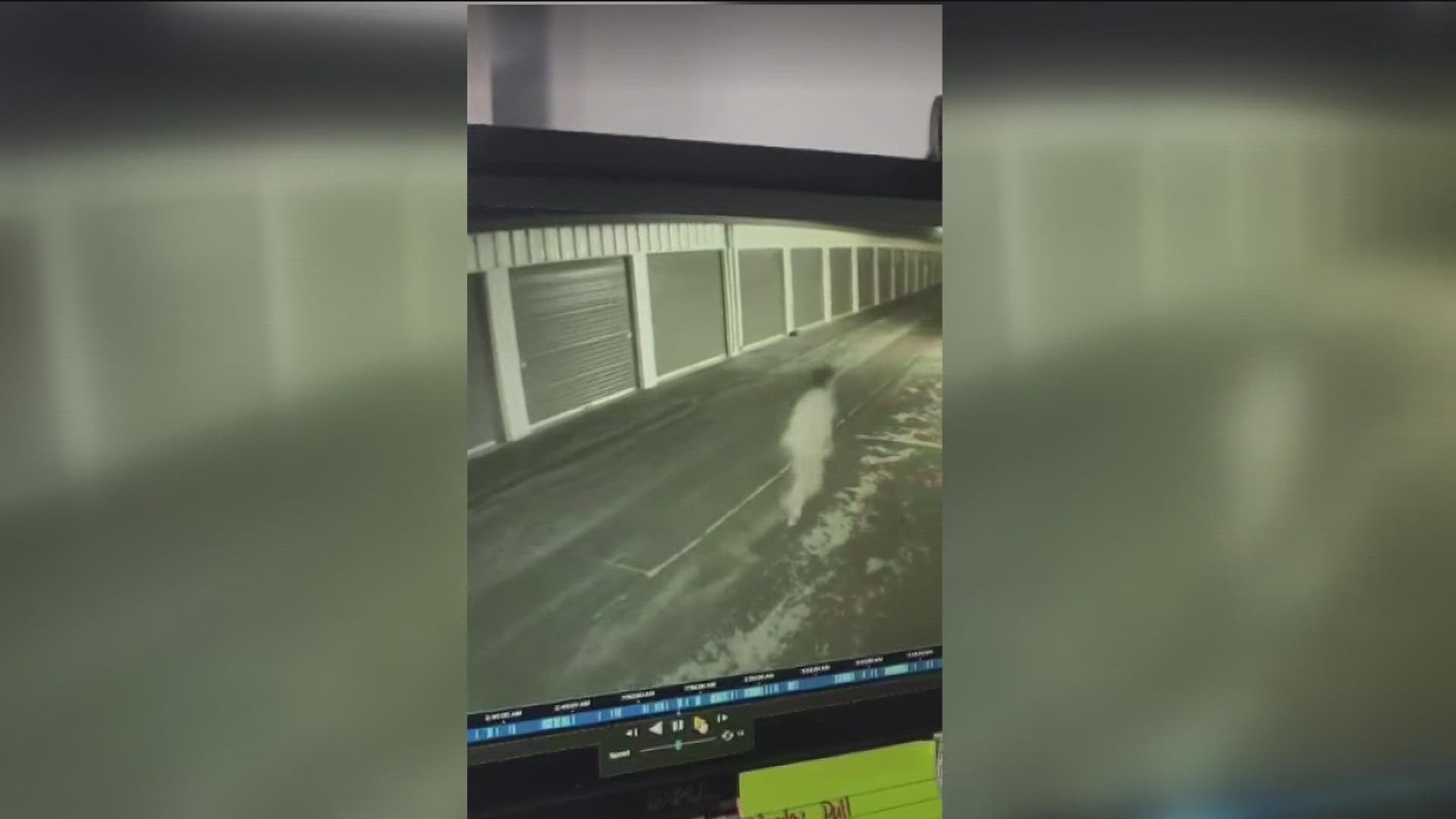 Surveillance video shows the car approaching the gate, before losing control, crashing through it, and coming to an abrupt stop.