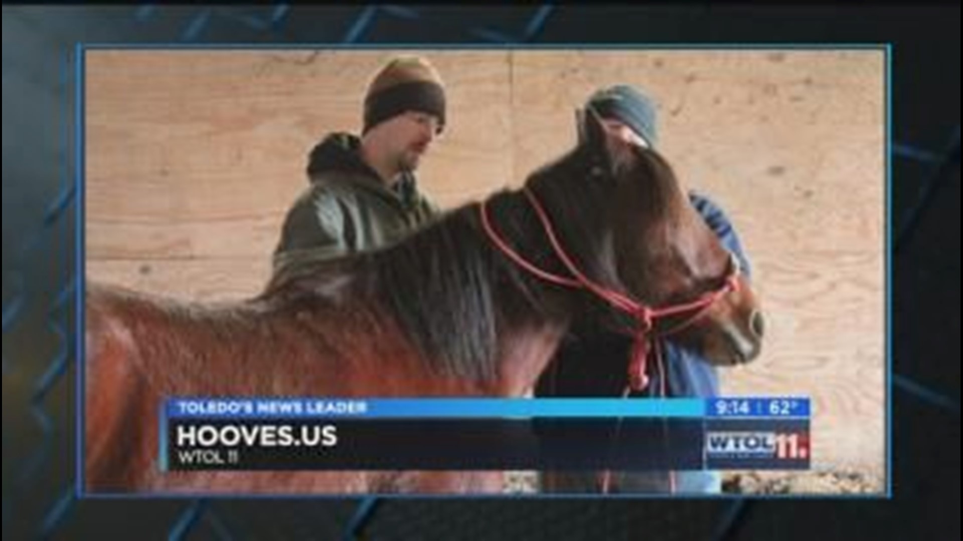 Support vets at Hogs and Hooves on WTOL 11 Your Day