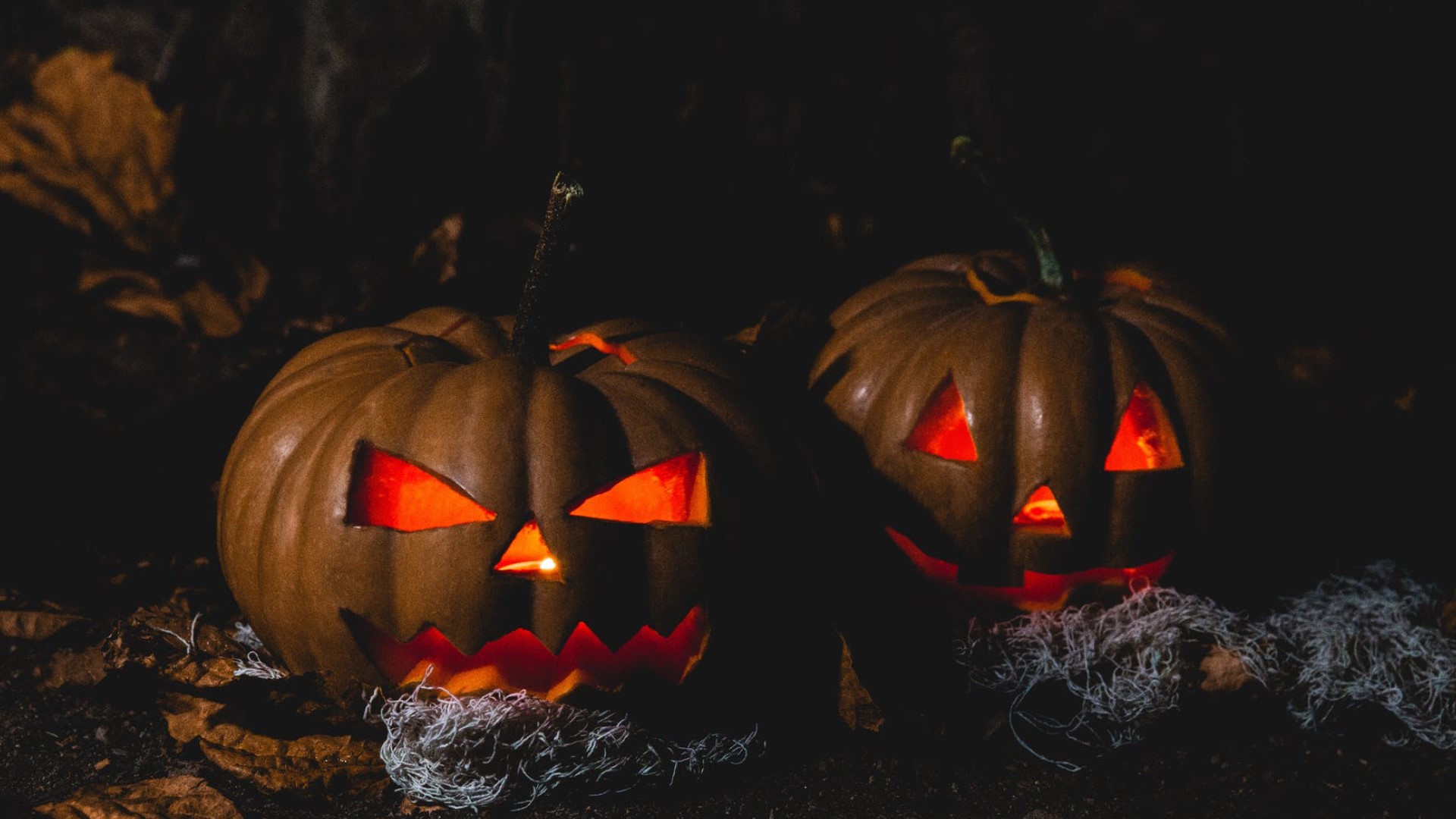 Haunted attractions in Northwest Ohio open for business this season