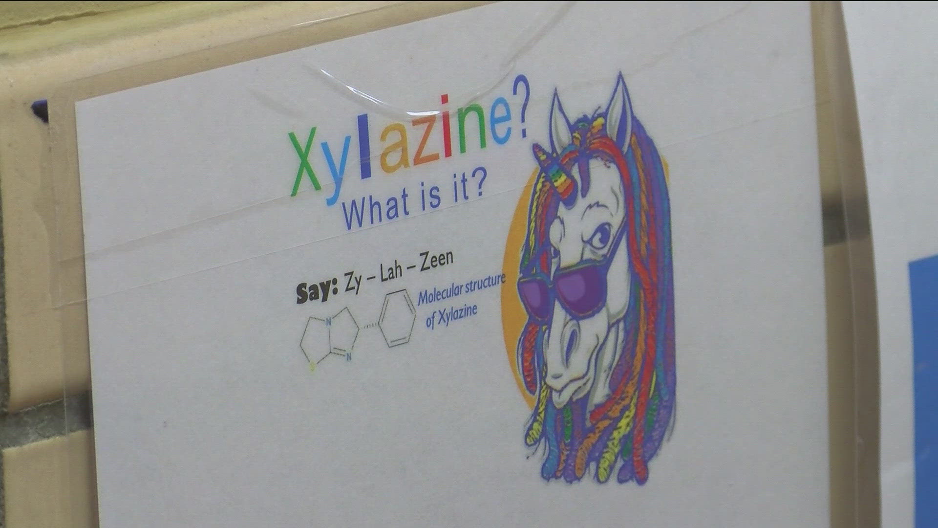 Overdose deaths in Ohio involving Xylazine have risen from 15 in 2019, to 45 in 2020, 75 in 2021 and 113 as of March 2022, according to the Ohio Department of Health