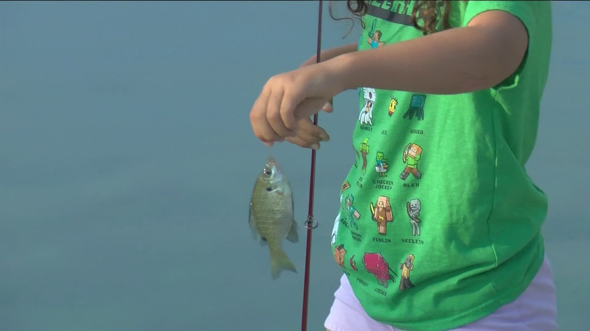 Neary 10 years after the Toledo Water Crisis, people are cautious about what they consume from Lake Erie.