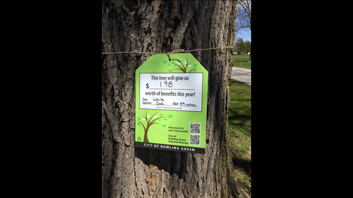 Bowling Green to display benefits of trees using tree tags  wtol.com