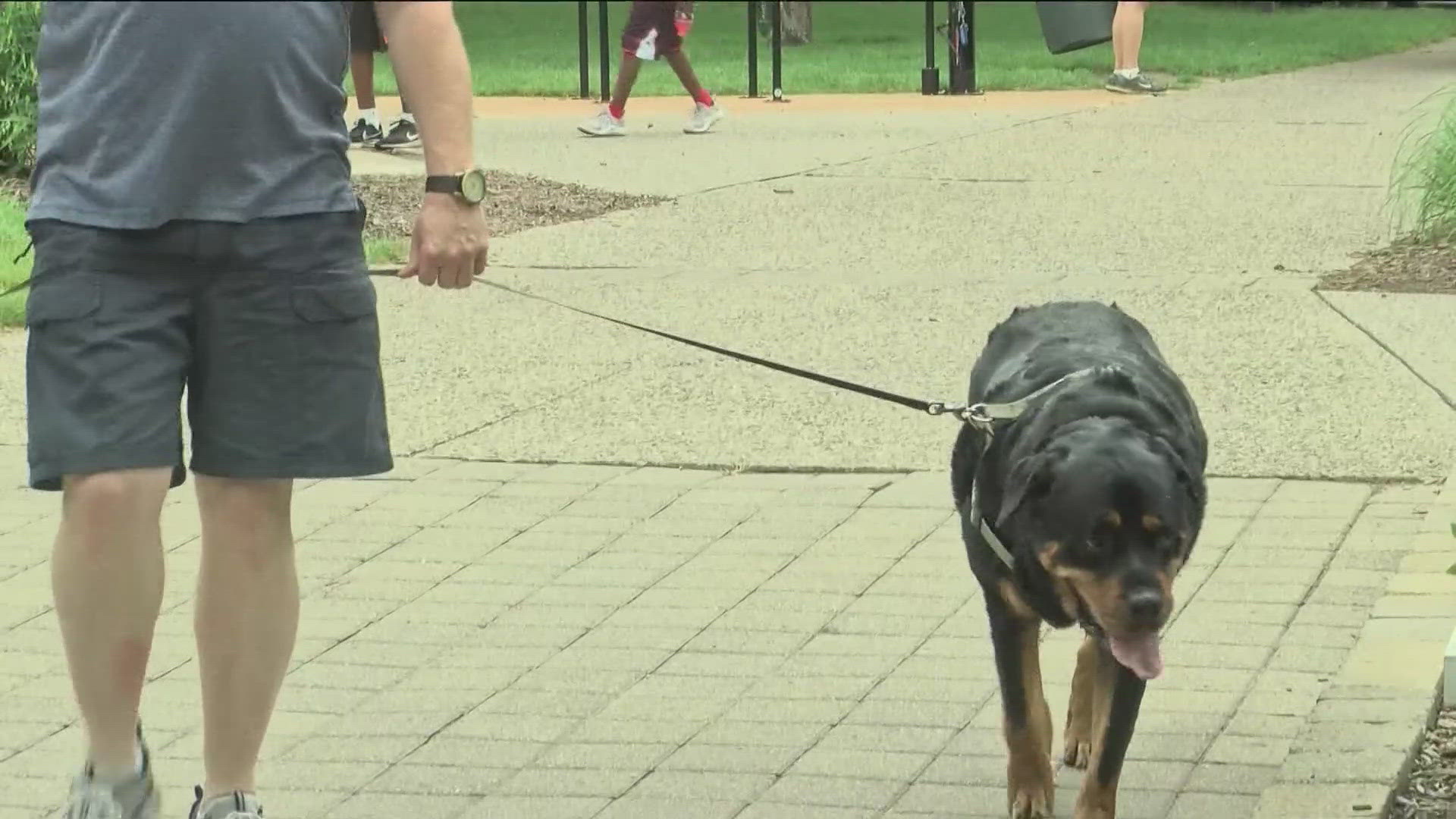 Humane society agents describe the signs to look out for and ways to avoid dangerous situations for your pets during this week's extreme heatwave.