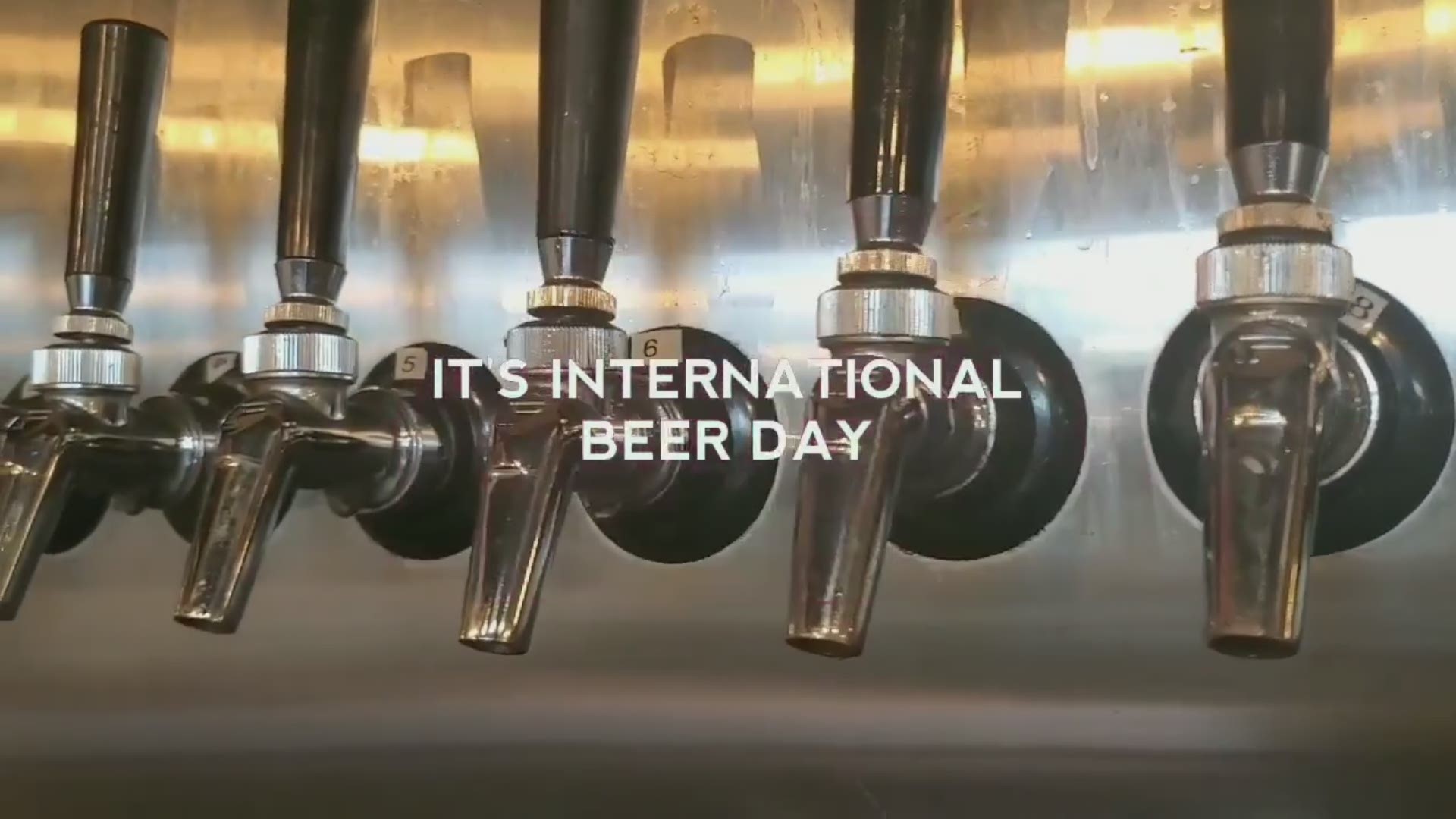On International Beer Day, the folks at Earnest Brew Works explained how they create their best beers.