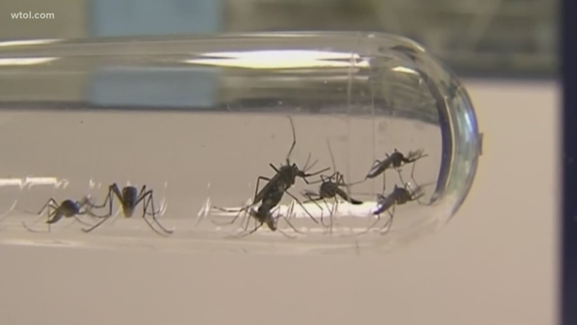 Mosquito season is underway and it's going to be busy