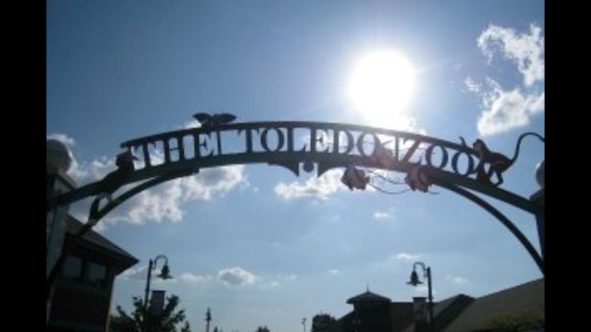 Toledo Zoo increases admission prices