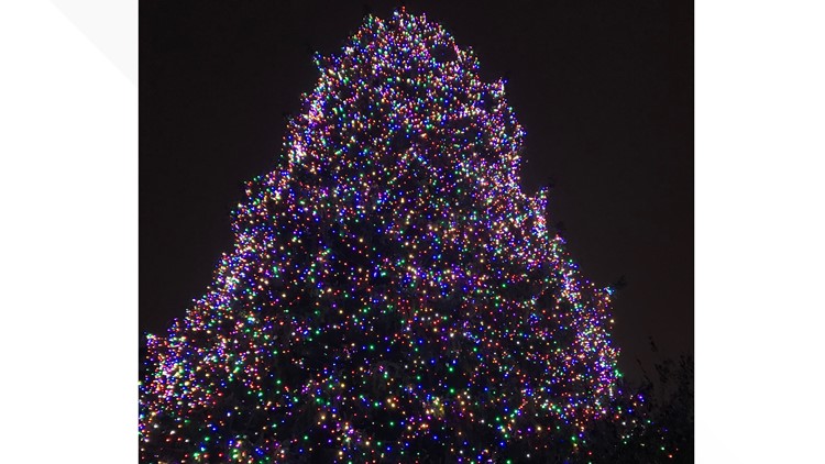 PHOTOS: Lights Before Christmas at the Toledo Zoo