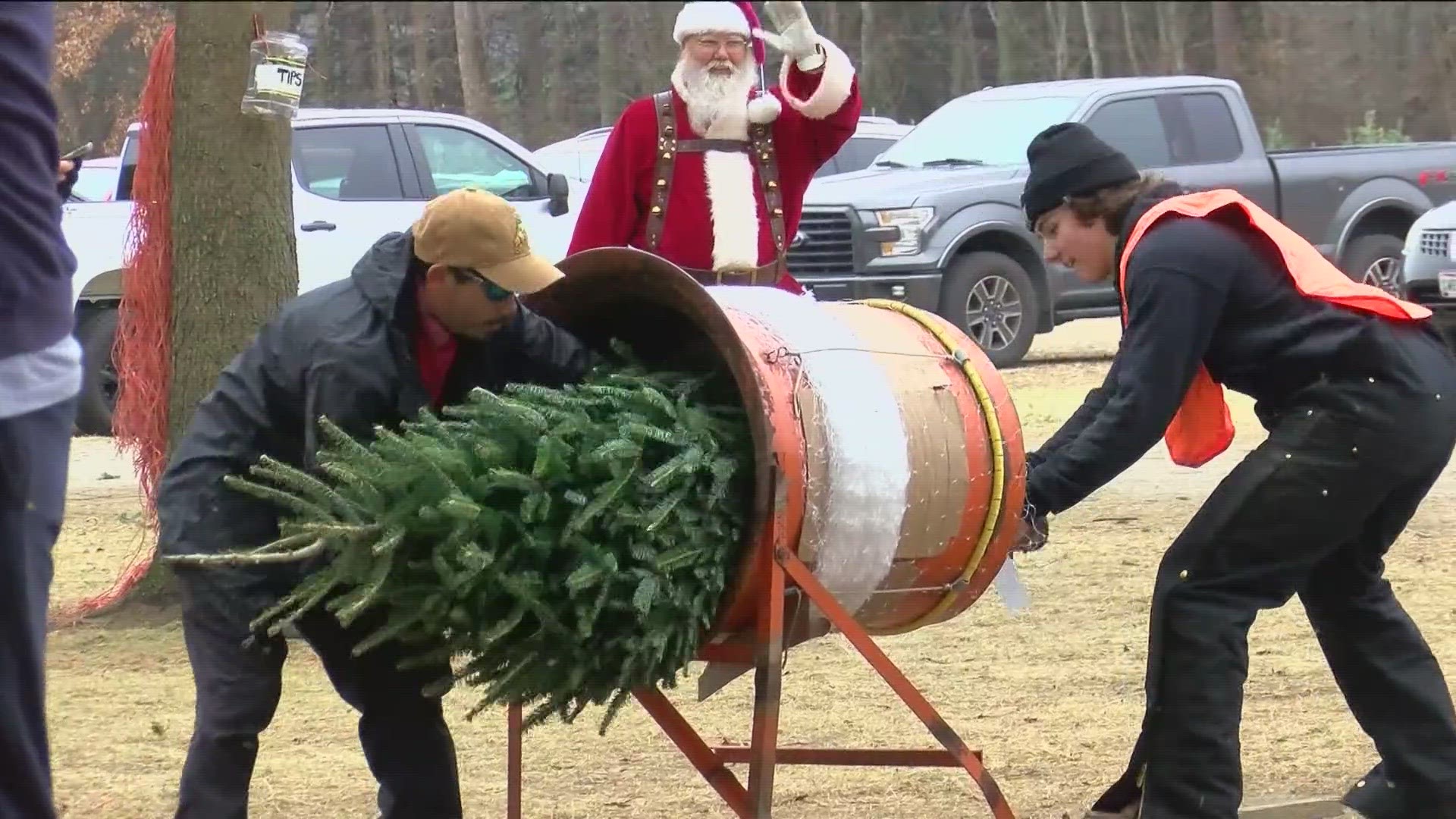 Whitehouse Christmas Tree Farm ready for holiday season | wtol.com