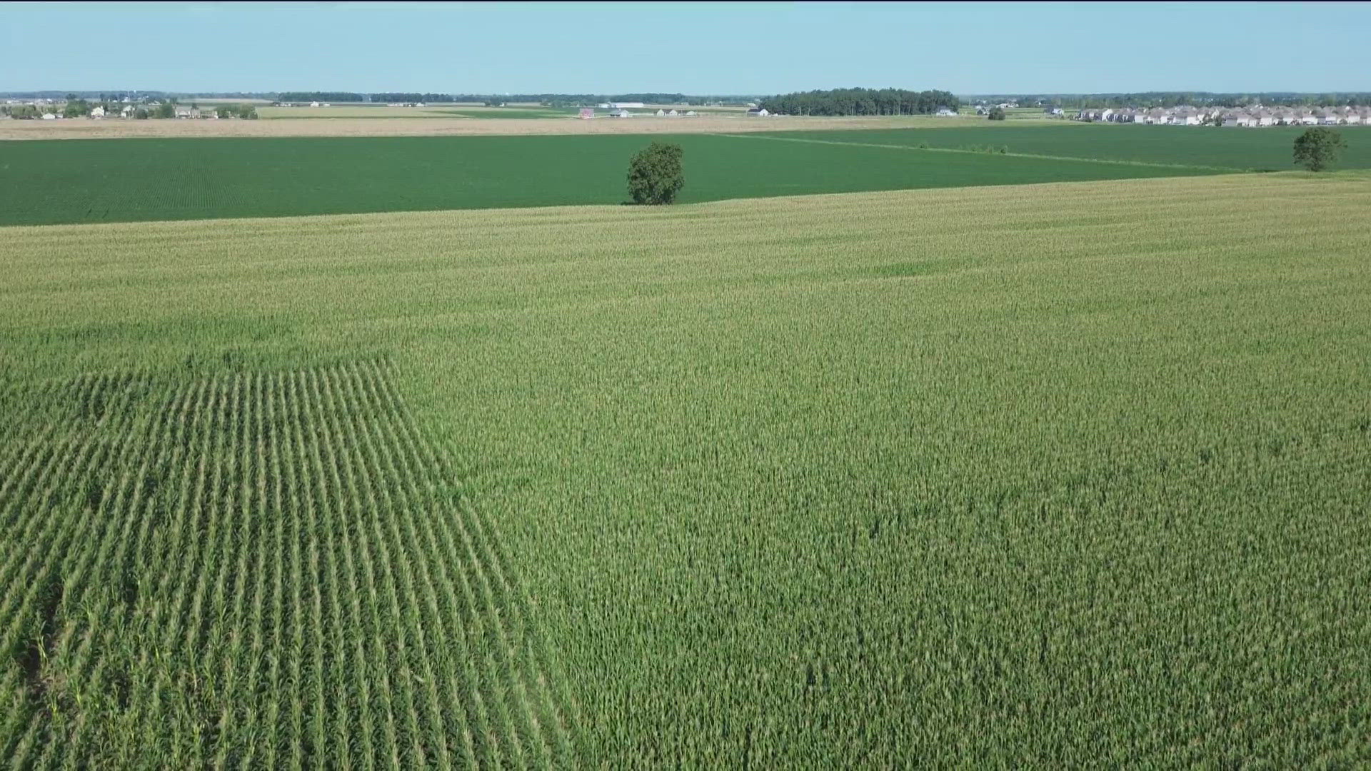 A Wood County farmer says the lack of rain is a growing concern for bean crops in particular.