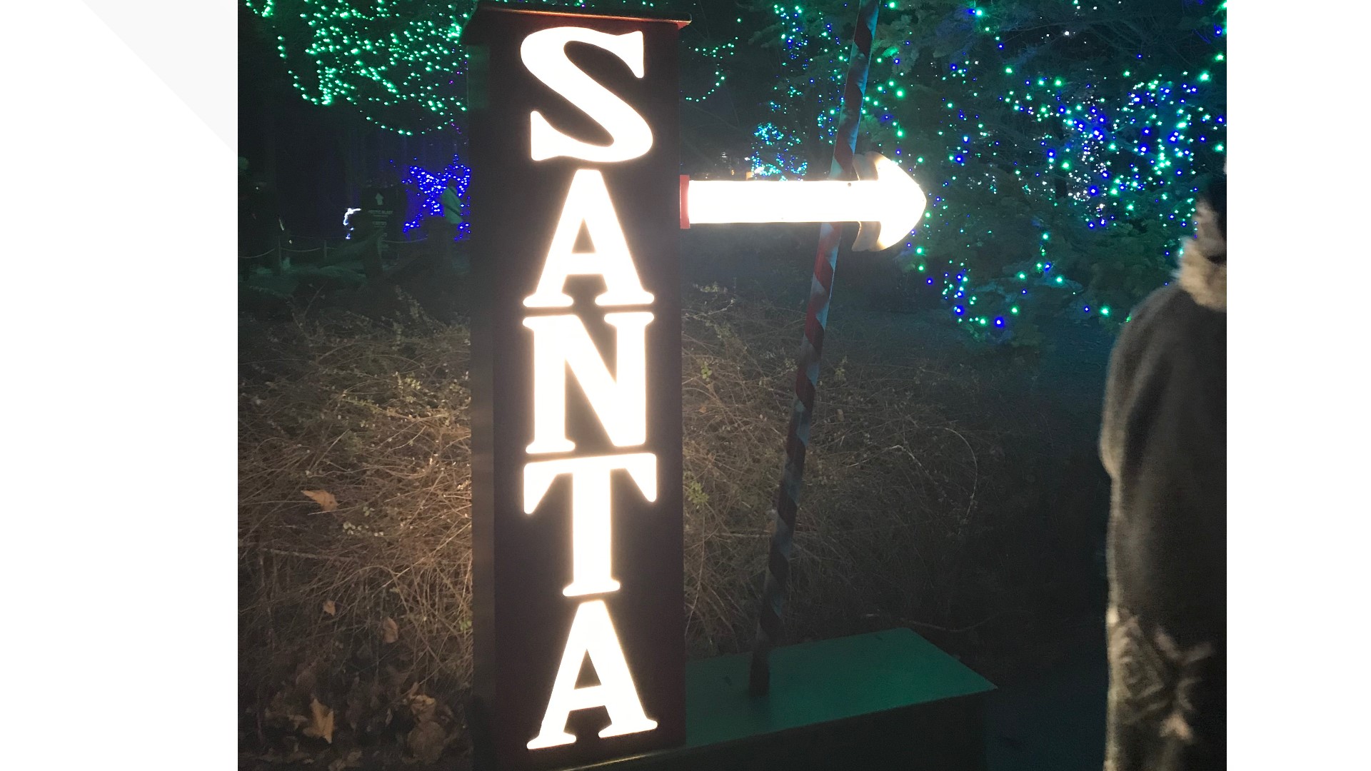 Toledo Zoo Lights Before Christmas GUIDE