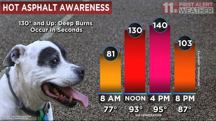 Pavement heat for dogs hotsell