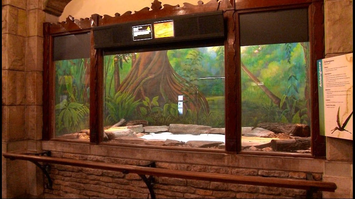 Toledo Zoo preserves history, restores murals dating back to the Great