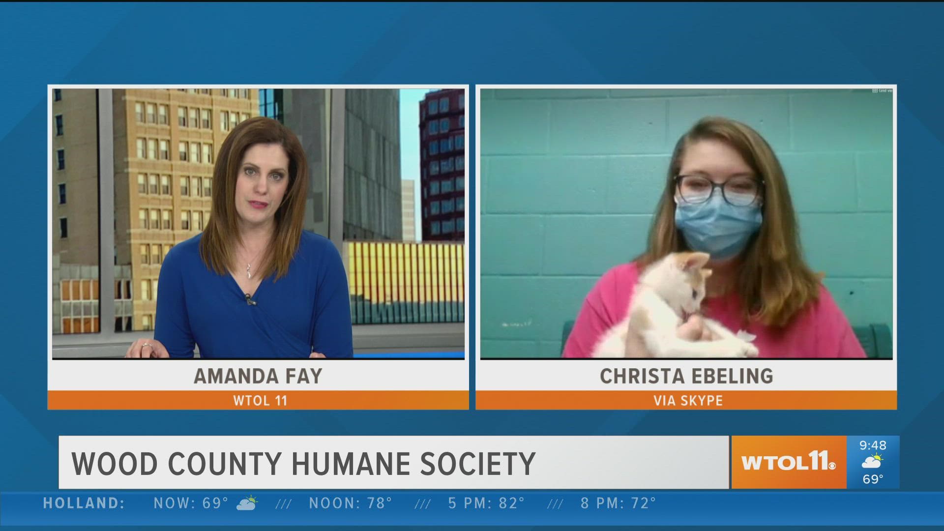 If you’re missing a furry companion in your life, the Wood County Humane Society can help you find your furr-ever friend!