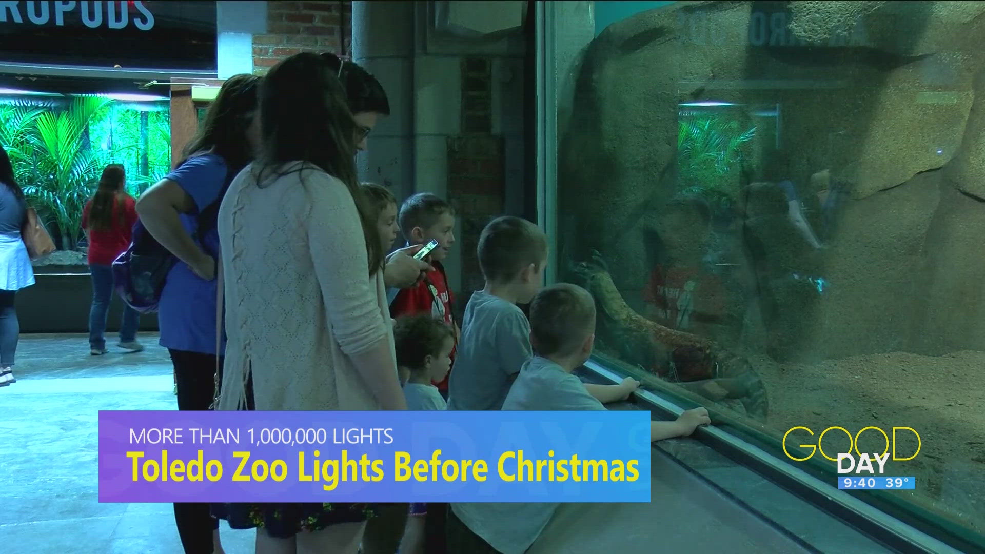 Jen Brassil of the Toledo Zoo talks this year's Lights Before Christmas display. 