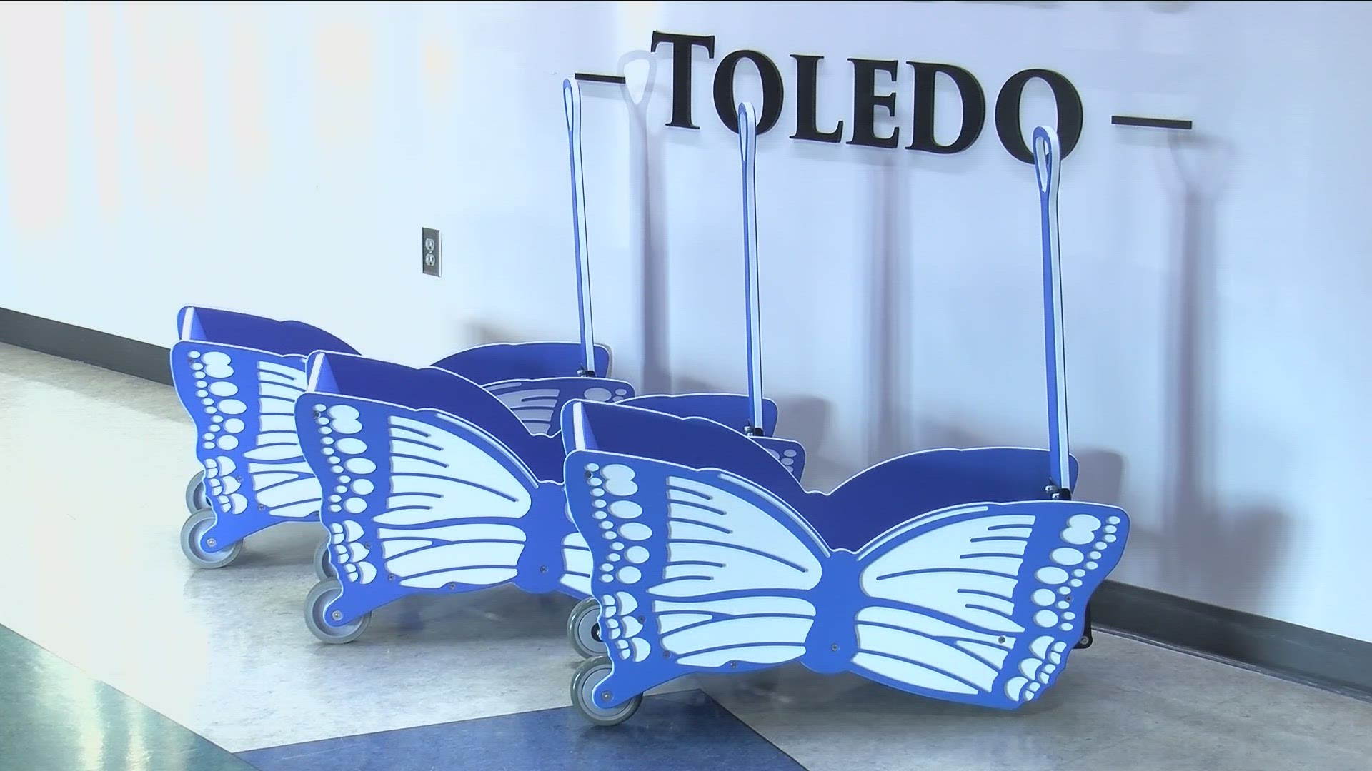 Hospital visits can be stressful, especially for kids. Nationwide Children's Hospital-Toledo is working to ease visits with Butterfly Wagons.