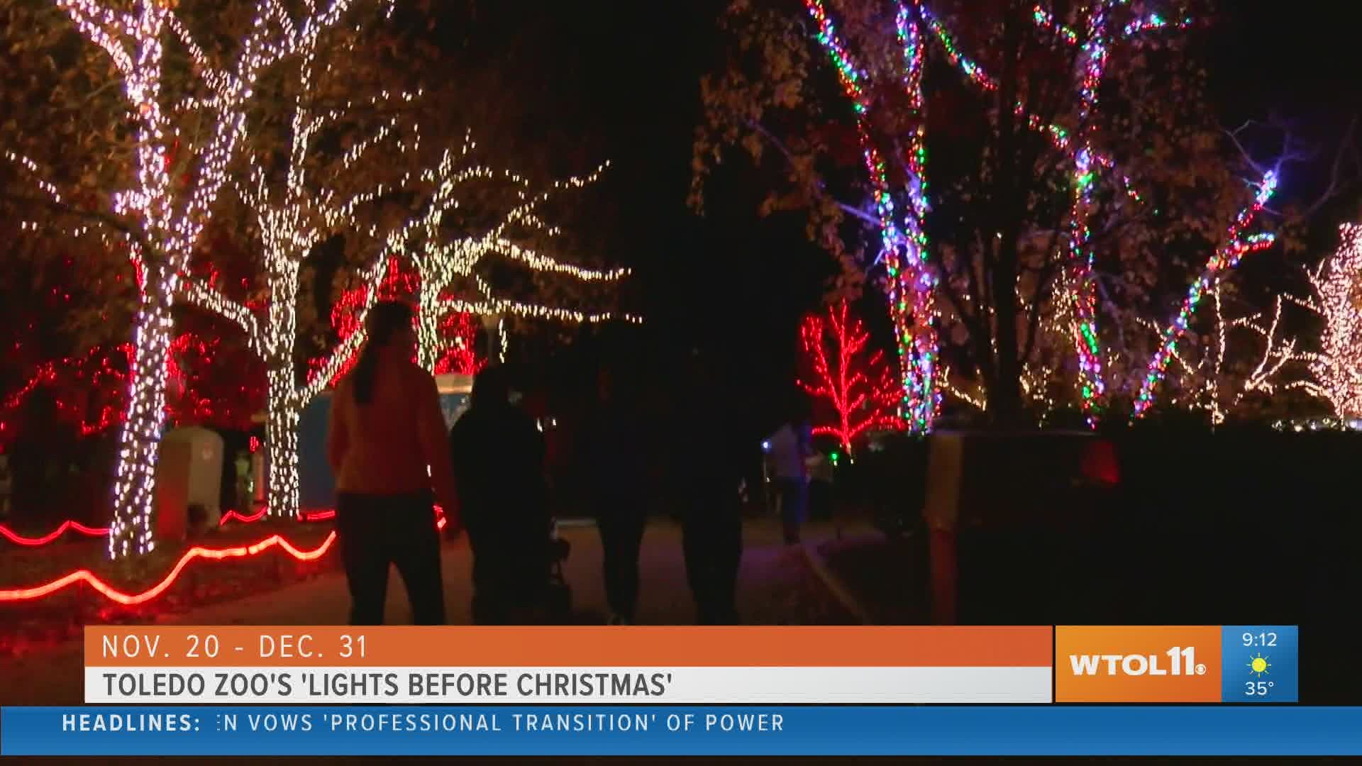 Free memberships to the zoo will be given out throughout the duration of 'Lights Before Christmas' this year.