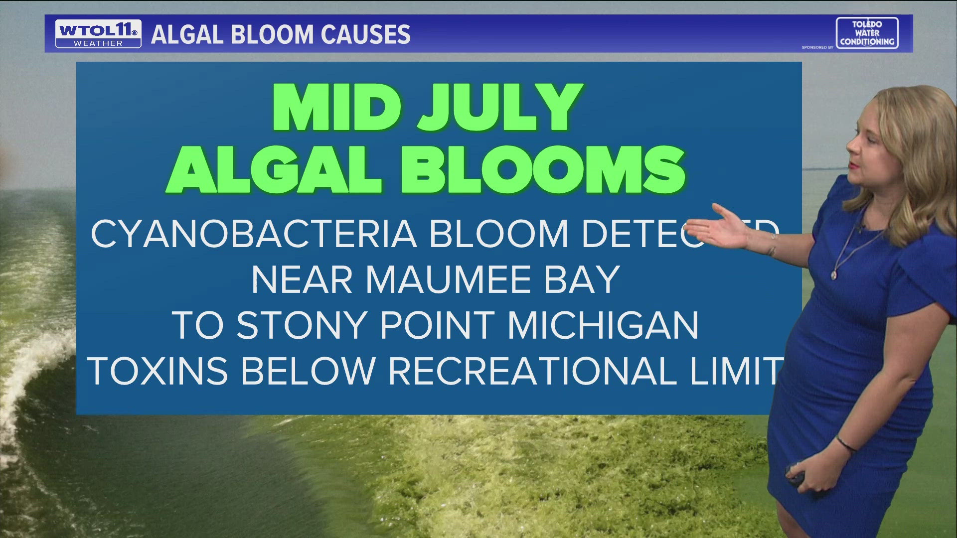 A cyanobacteria bloom has been detected by Maumee Bay, but it remains below recreational levels.