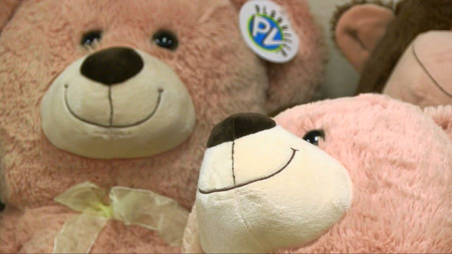 Walleye Host Annual Teddy Bear Toss | Wtol.com