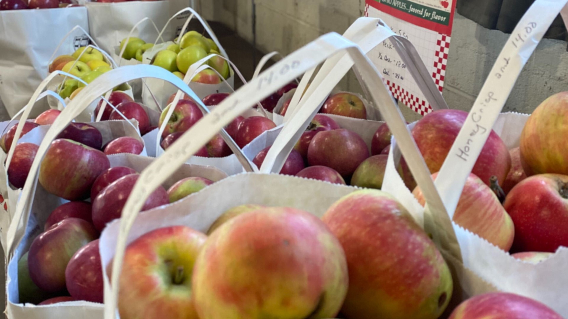 Nw Ohio Farmers Struggling To Get A Good Apple Crop Wtol Com