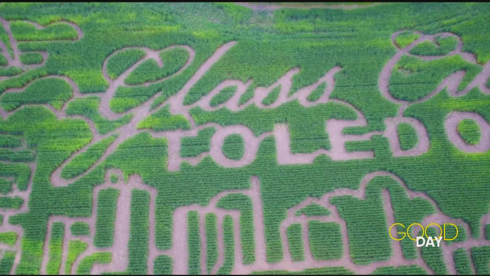Diane checks out Wheeler Farms' fall festivities with three Toledo-themed corn mazes and more.