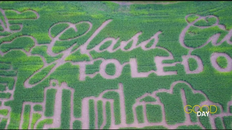 Get lost in five miles of mazes at Wheeler Farms | Good Day on WTOL 11