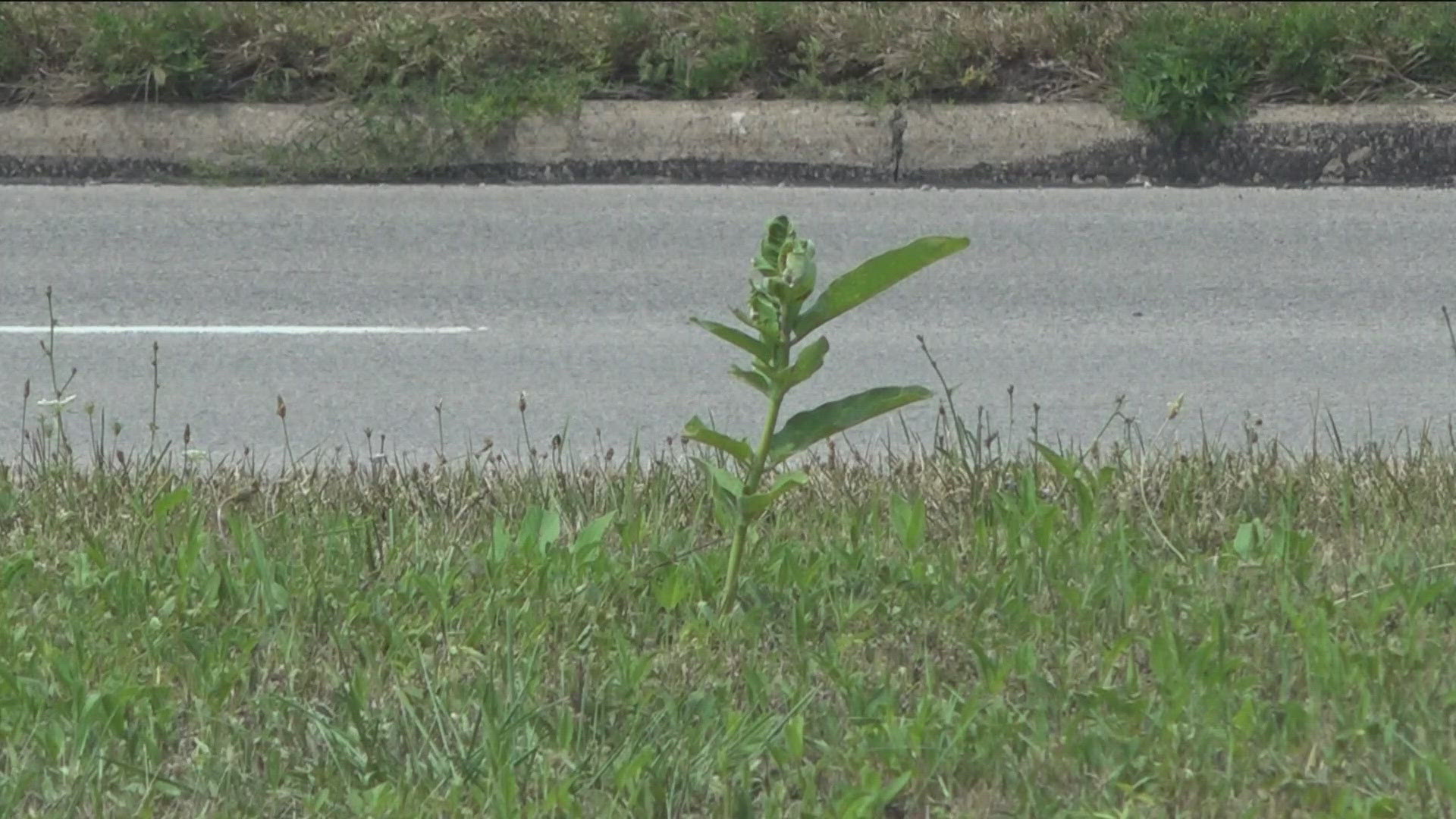 Meanwhile, the city of Toledo has maintained being committed to natural resources preservation and claimed the zoo walked away from environmentally-sound projects.