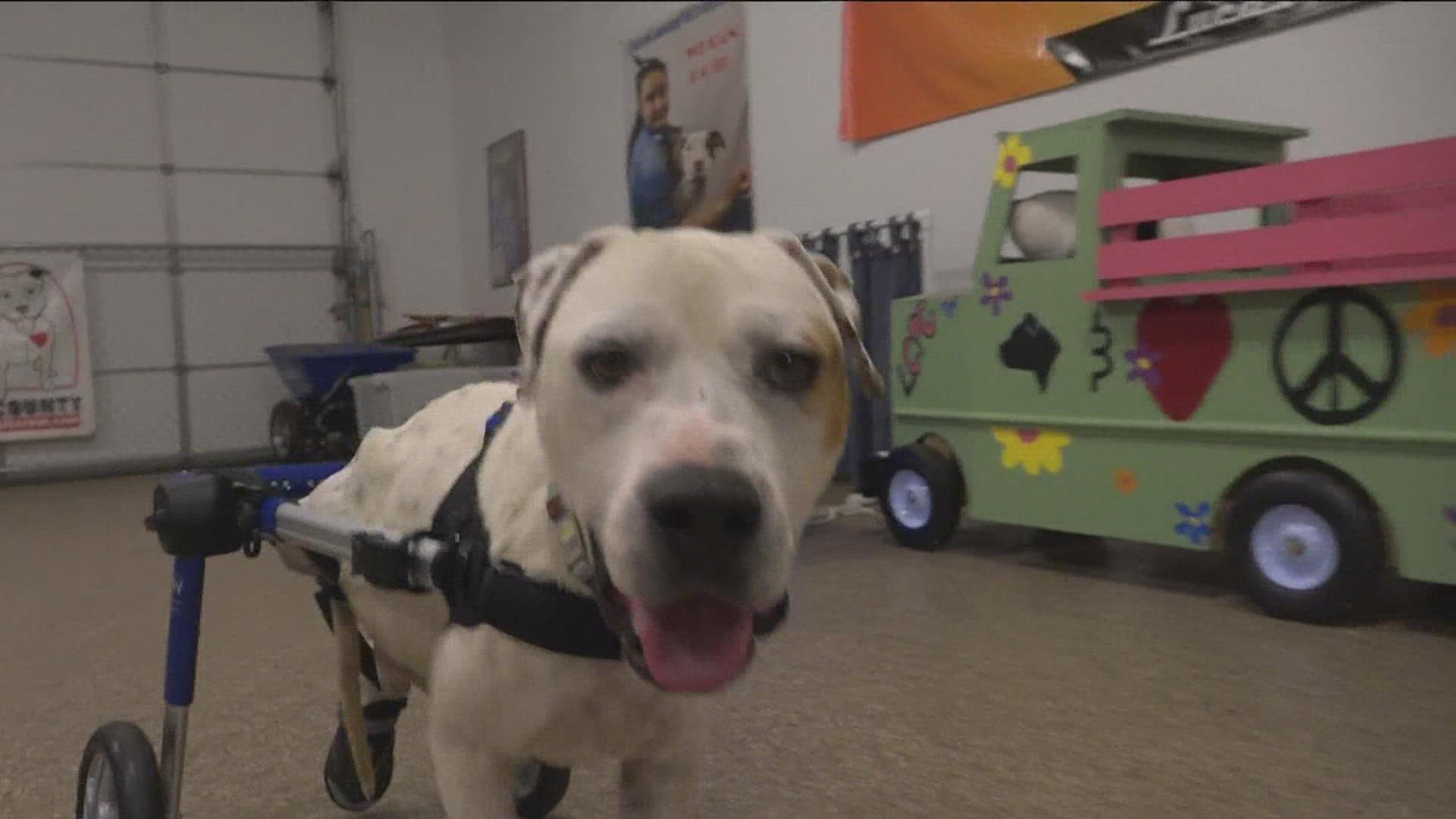 Follow Roy's journey from Texas to Toledo, and to recovery.