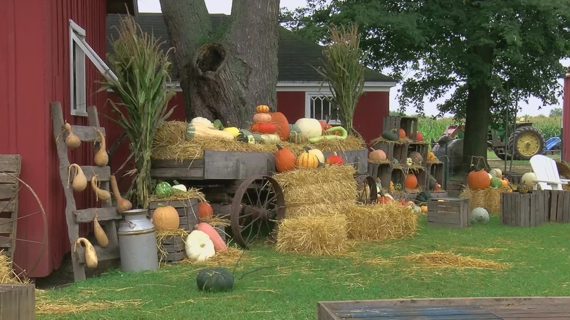 Enjoy the smells of donuts and fall favorites, walking through a maze and taking hay rides at Fleitz Pumpkin Farm in Oregon.