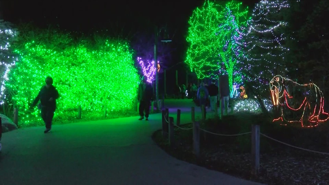 Toledo Zoo Lights Before Christmas begins today