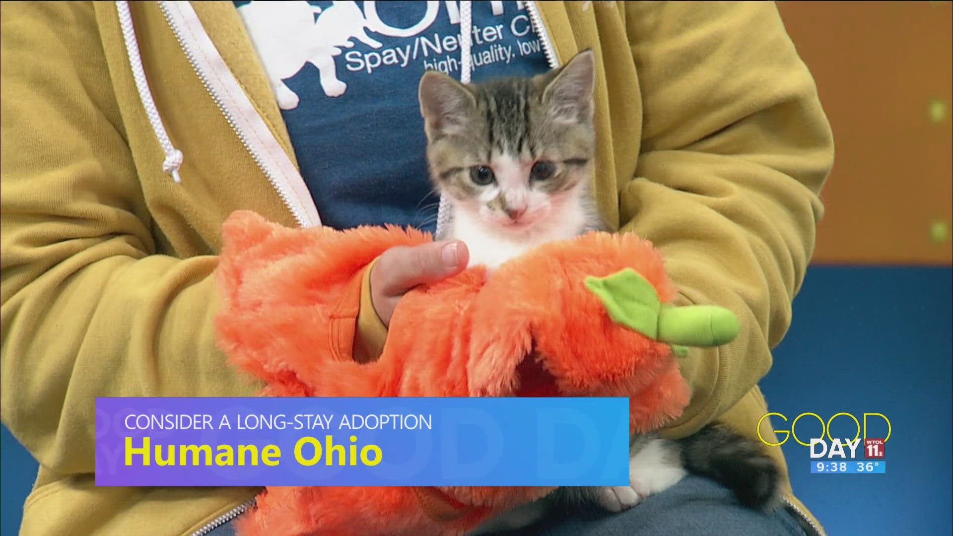 Jack is up for adoption at Humane Ohio.