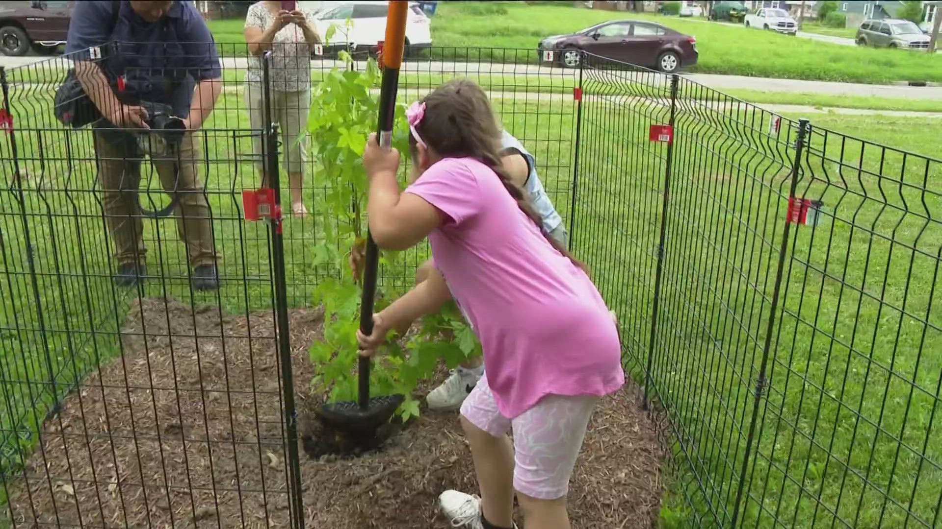 TPS held a tree planting ceremony Tuesday afternoon for its new "moon tree" which was in orbit aboard the Artemis I in 2022.