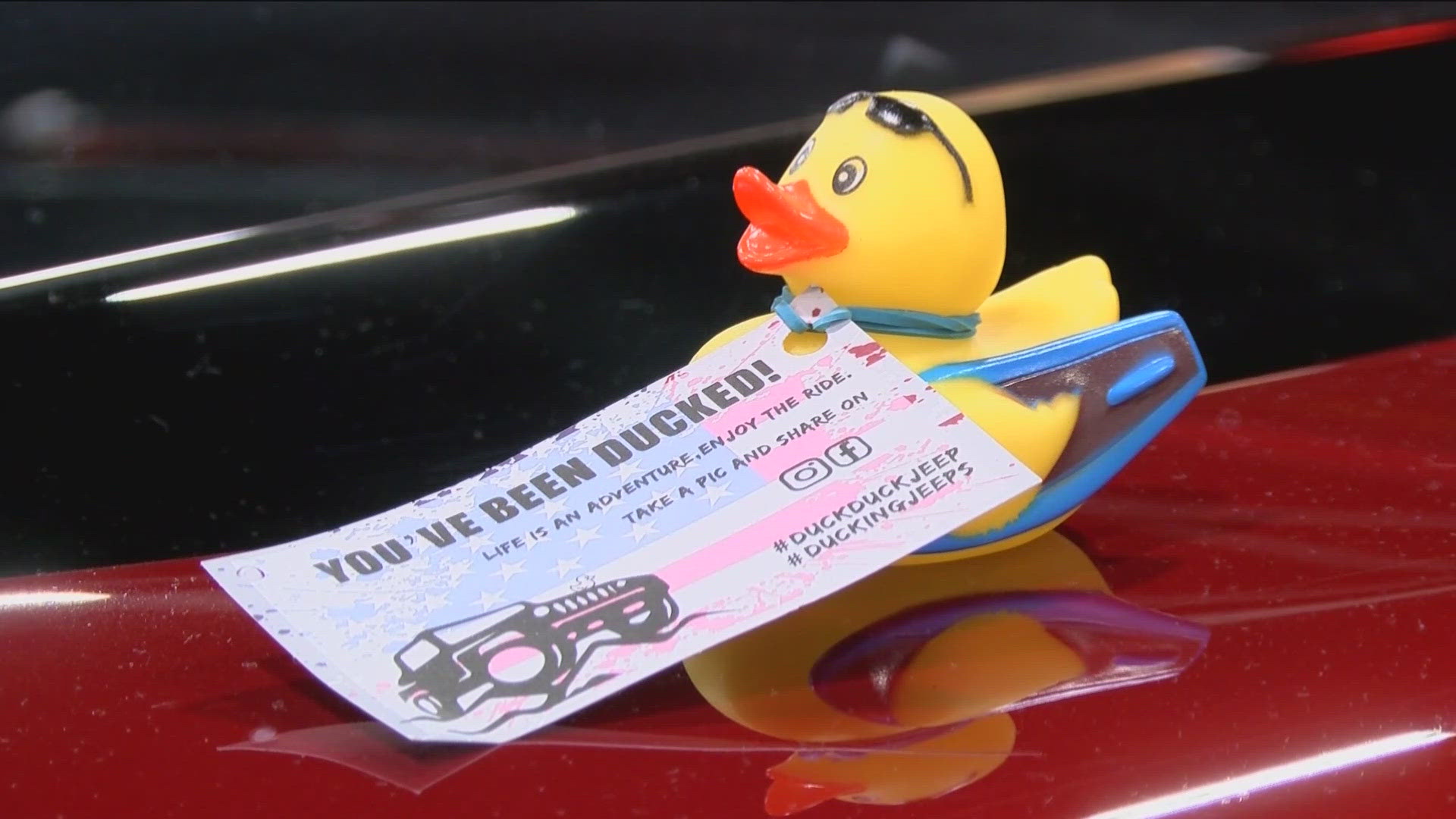 What is it about Jeep enthusiasts that has them collecting the little rubber ducks for their dashboard.