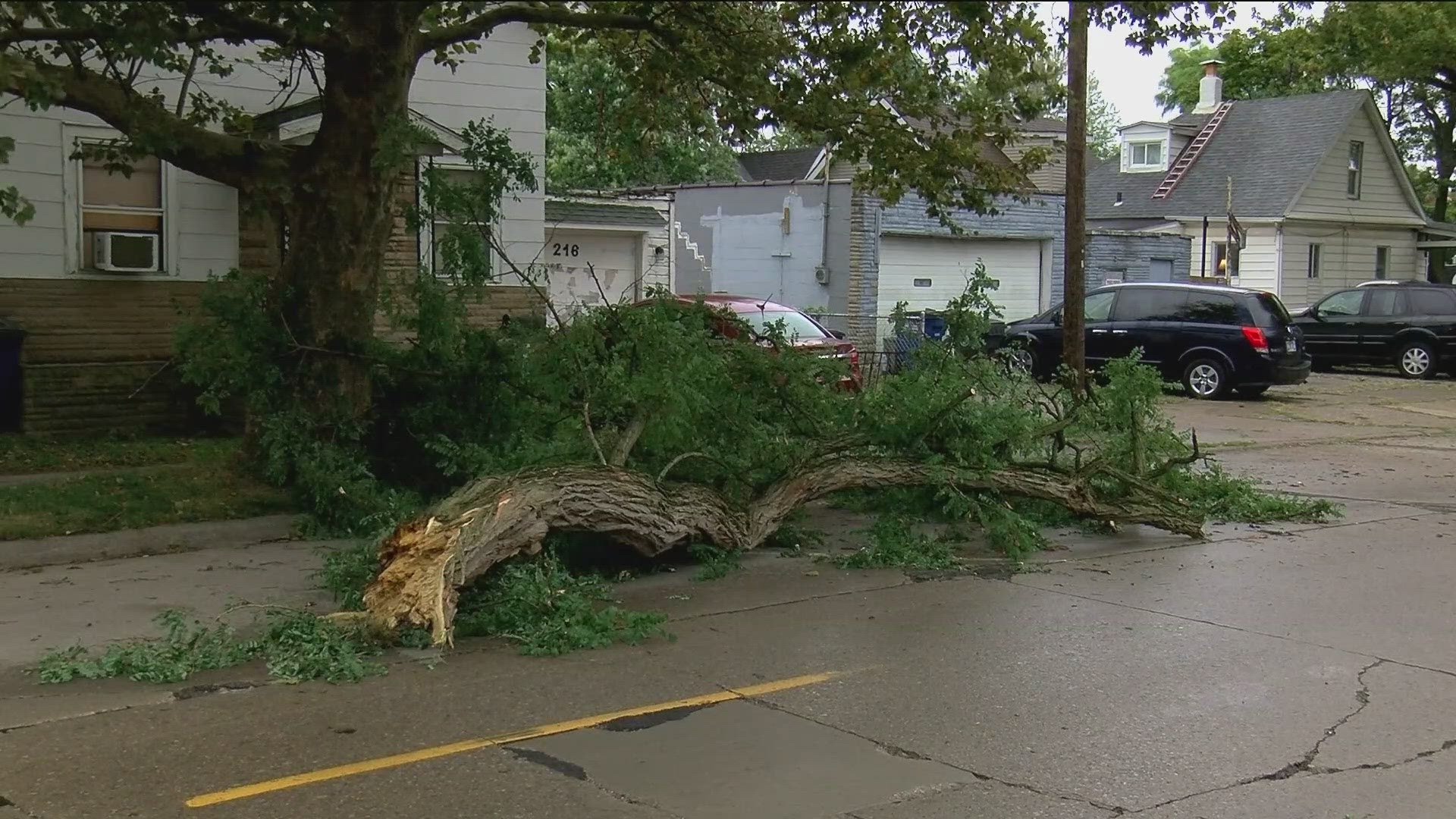 Multiple trees fell and hit homes in east Toledo and in the Beverly neighborhood in south Toledo Friday afternoon.