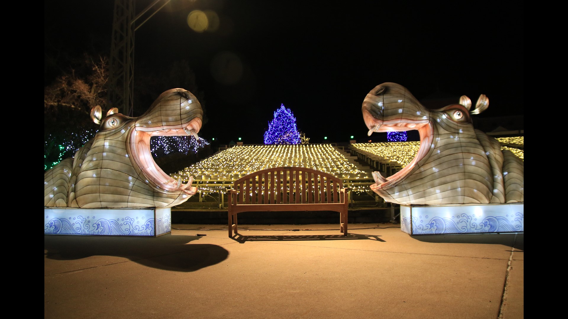 Toledo Zoo Lights Before Christmas Guide 2022