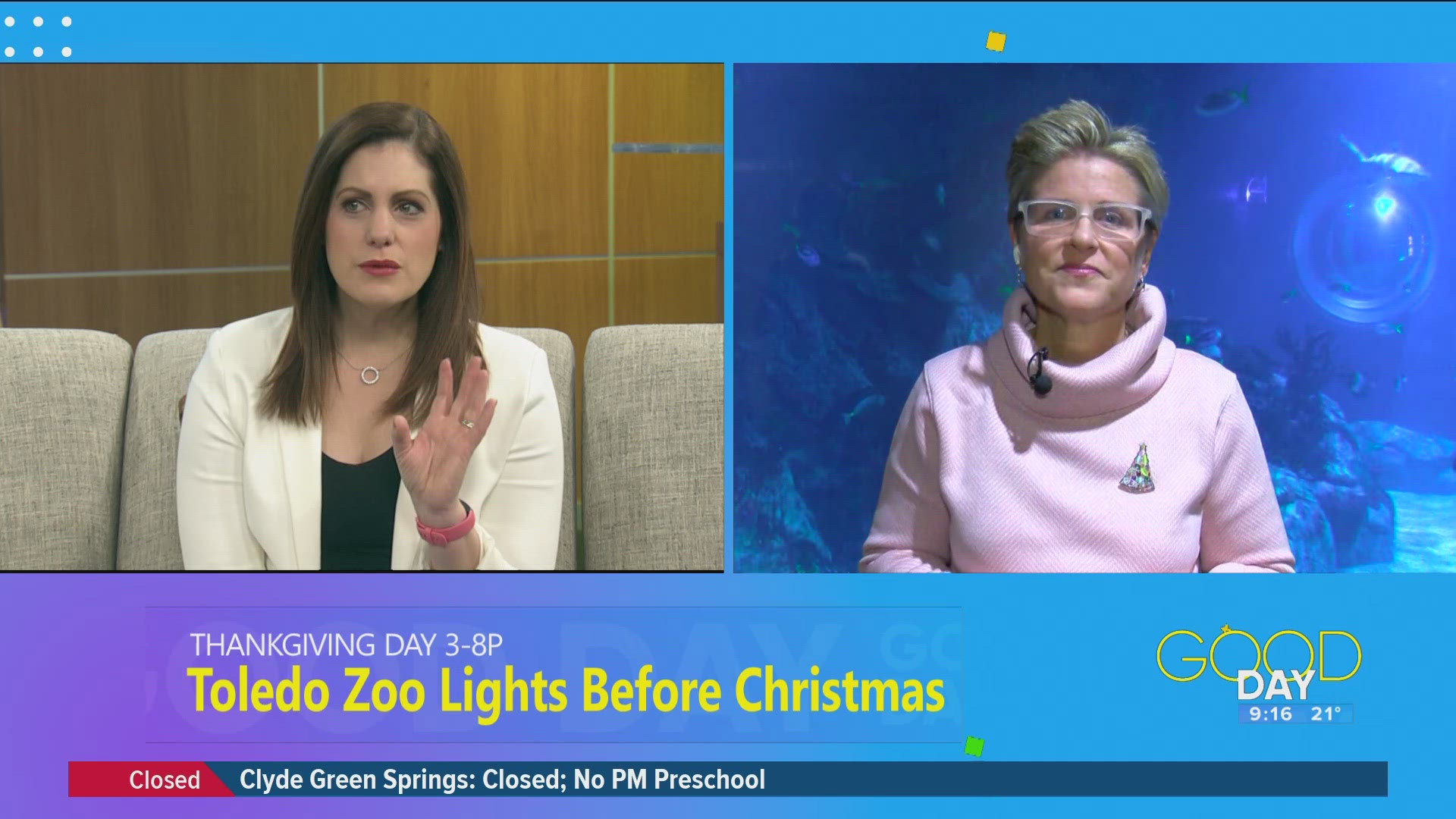 Lights Before Christmas Toledo, Ohio