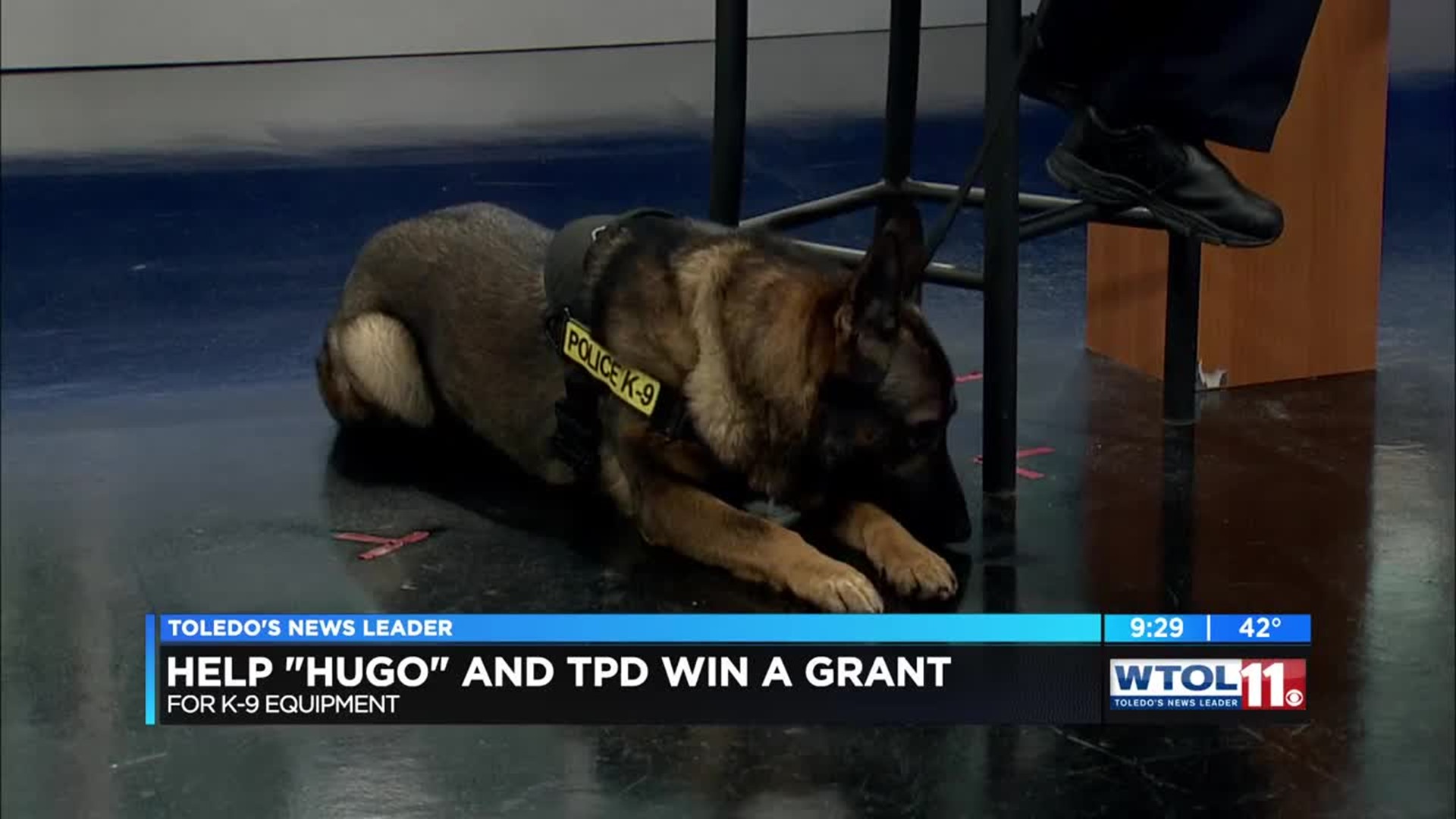 Help K9 officer Hugo and TPD win a grant