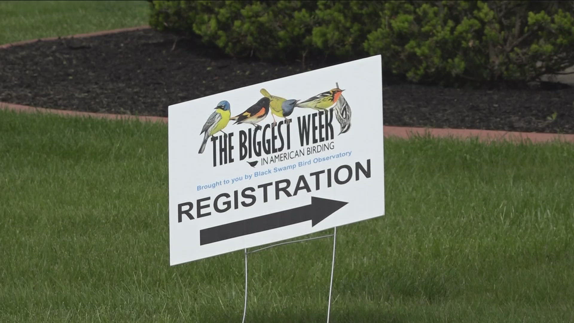 Veteran birders are more than happy to help anyone hitting the boardwalk for the first time.