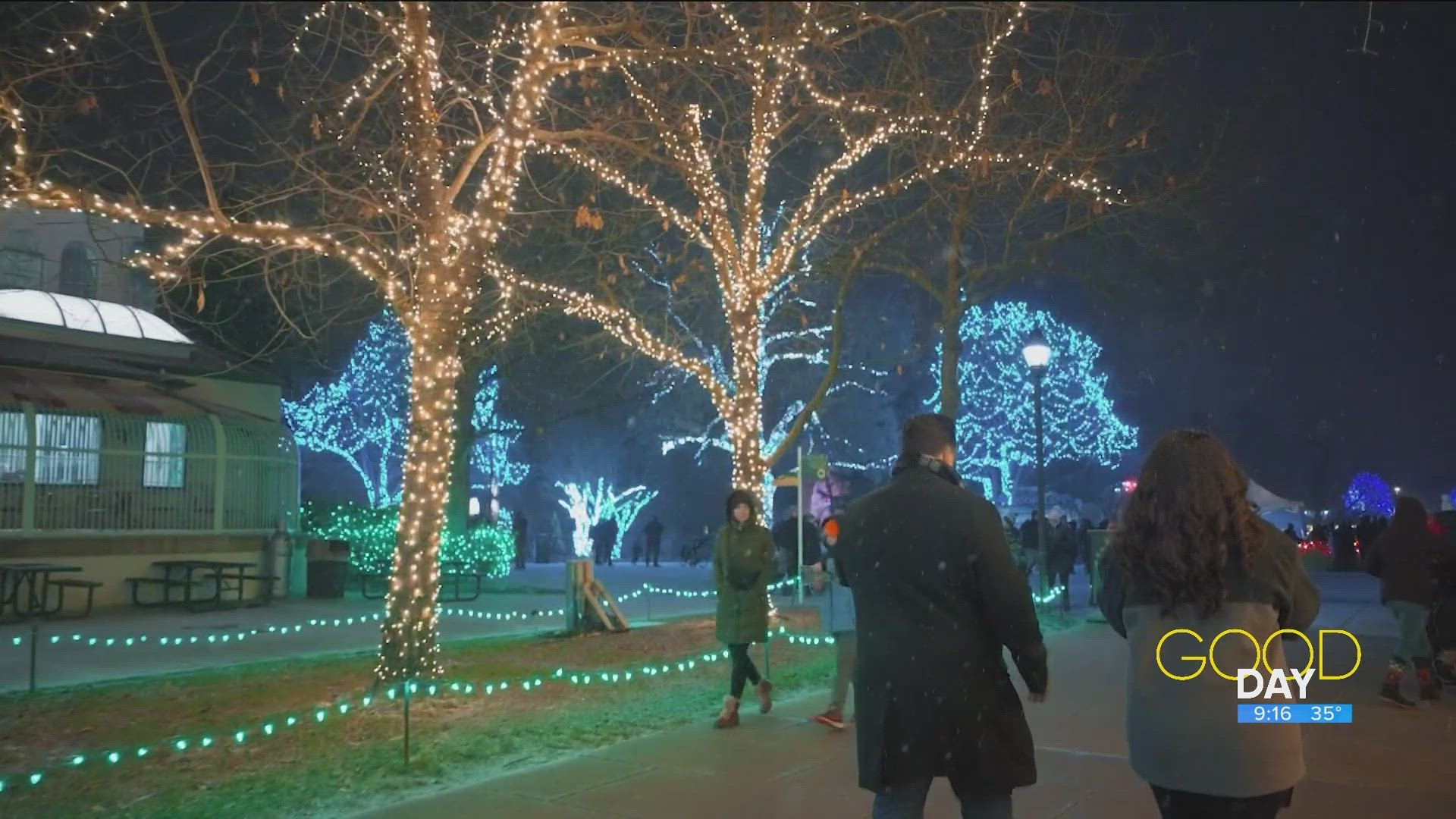 Toledo Zoo Lights Before Christmas kicks off Friday Good Day on WTOL