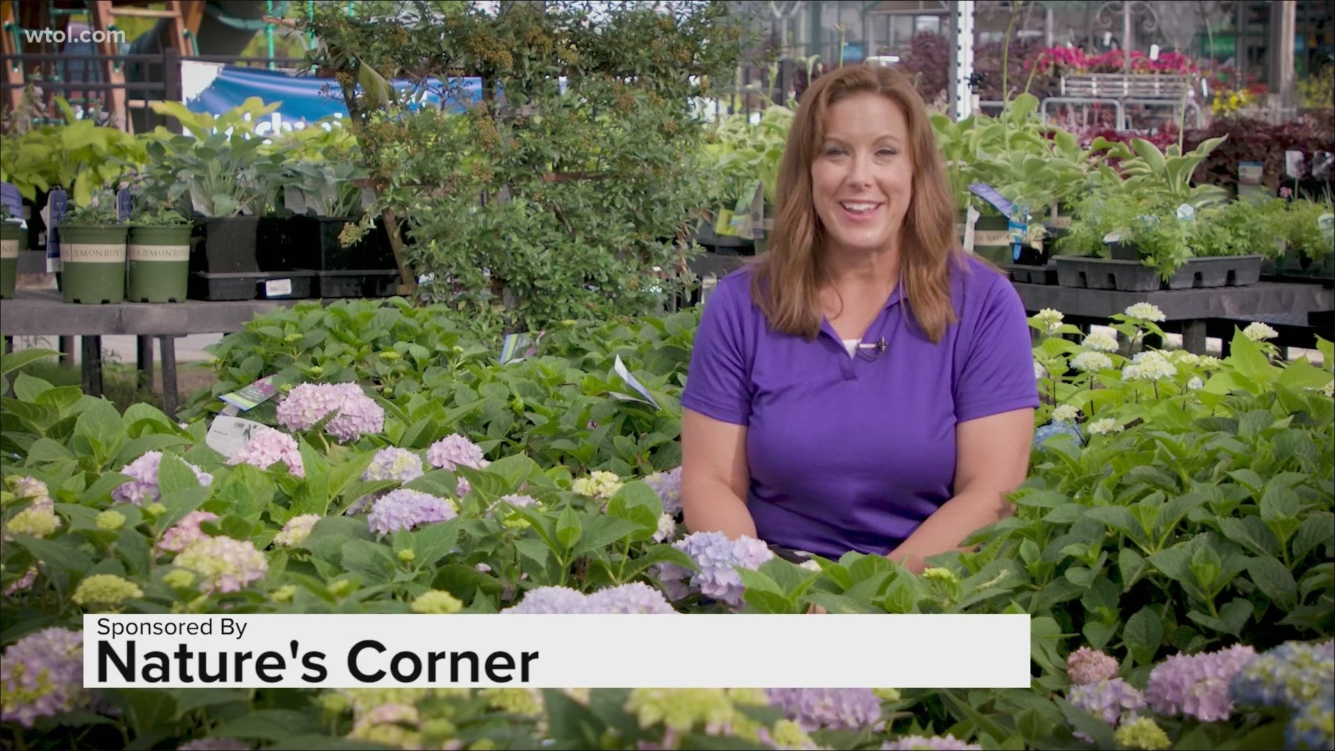 Nature's Corner shares tips on how to prune your overgrowing plants.