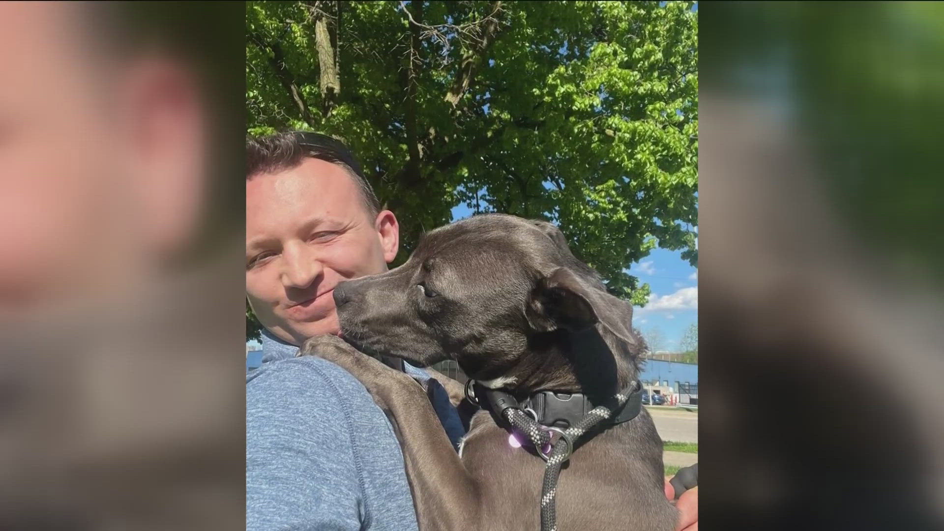 Lucas Couty Canine Care & Control volunteer Randy Fahringer helped out at the facility for more than a year and is concerned what the decision means for the dogs.