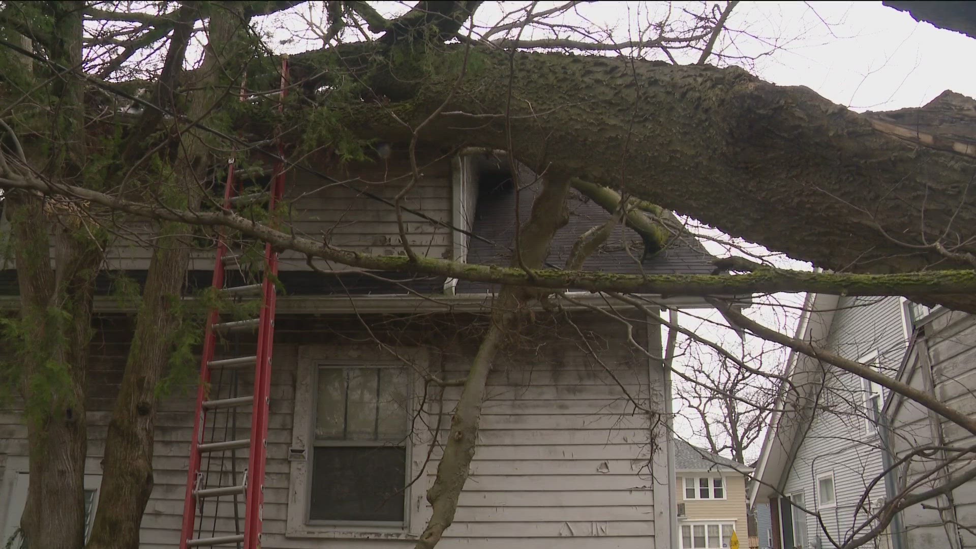 People from Toledo to Bryan felt the effects of straight-line winds generated by Wednesday's storm, which included gusts of over 60 mph.