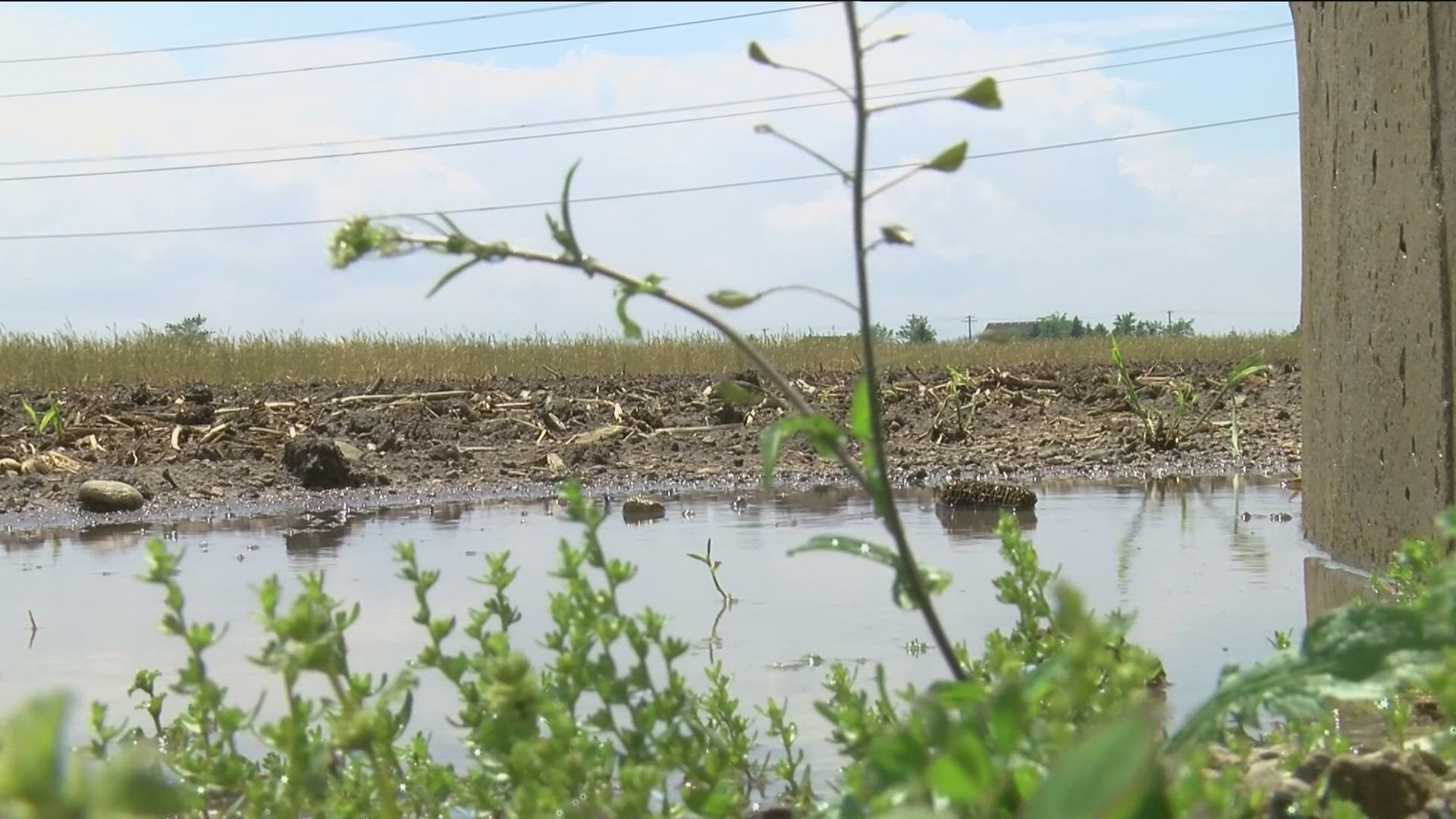 Although there are not many complaints with the recent rain showers, there are other factors farmers might have to deal with before planting.