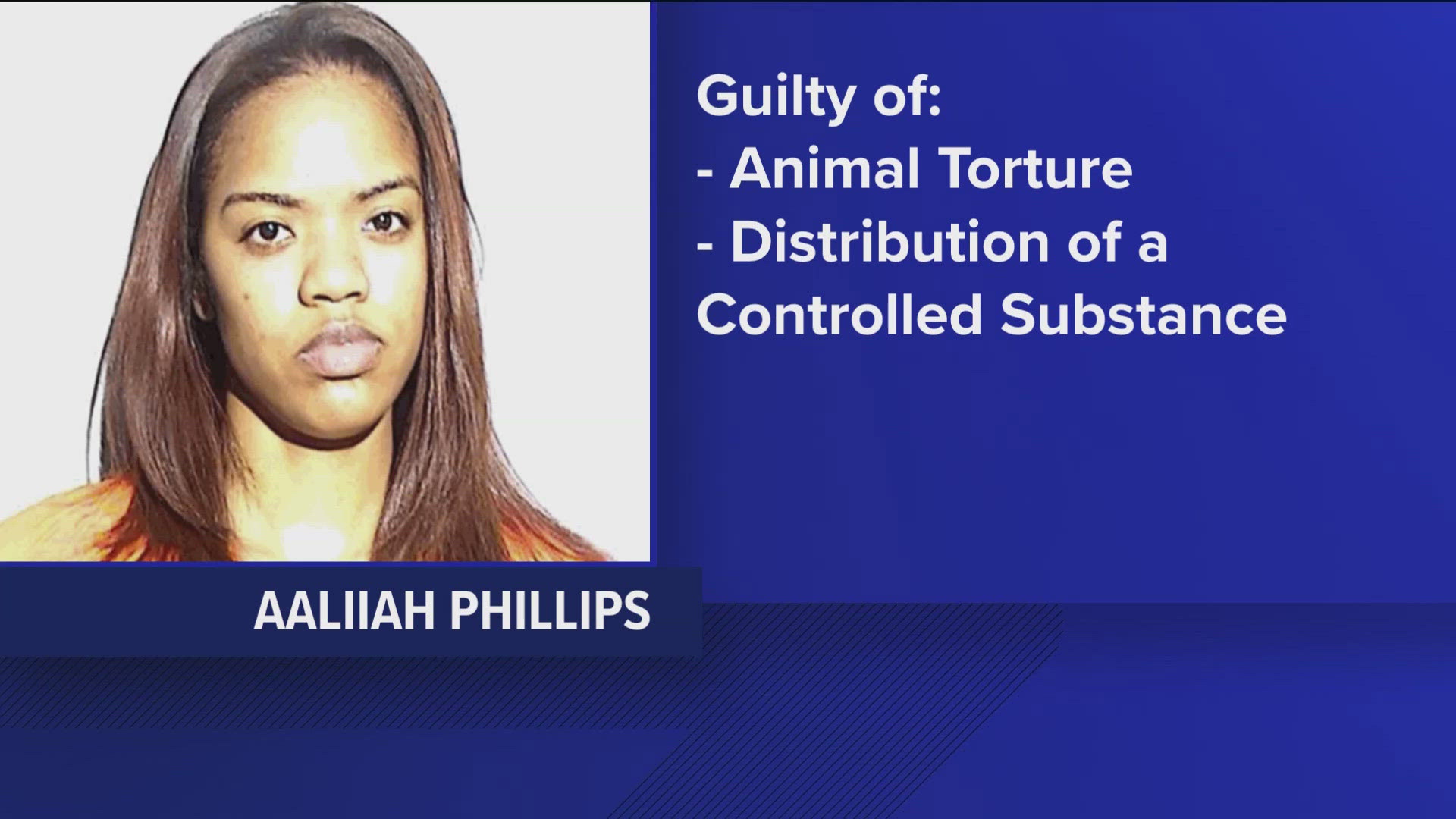 Aaliiah Phillips pleaded guilty in federal court to an animal crushing charge for setting two American bulldog puppies on fire and killing them in July 2023.