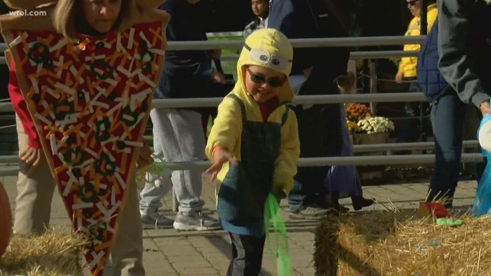 Toddlers and preschoolers get into the Halloween at the Toledo Zoo with Little Boo at the Zoo!