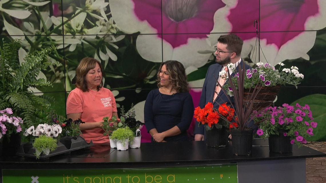 Hecklinger's Greenhouse | WTOL 11 Small Business Saturday