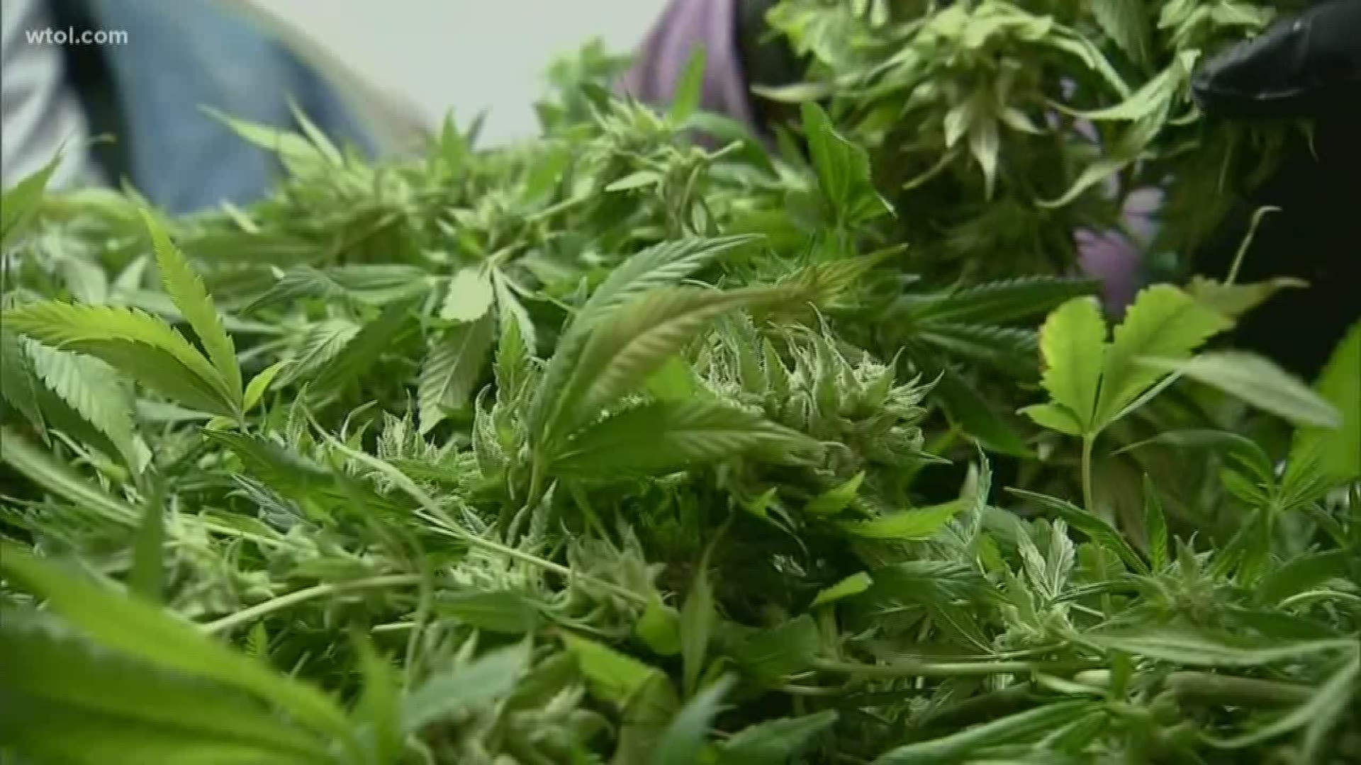 Anxiety and autism spectrum disorder may add to the list of qualifying conditions for purchasing medical marijuana in Ohio.