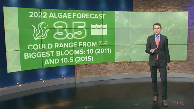 Lake Erie algal bloom forecast: how bad will it be?