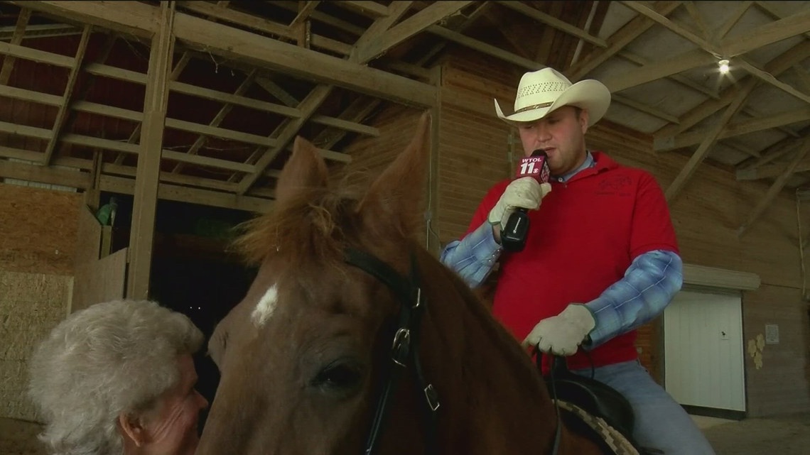 Castalia farm has horse therapy for people with disabilities | wtol.com