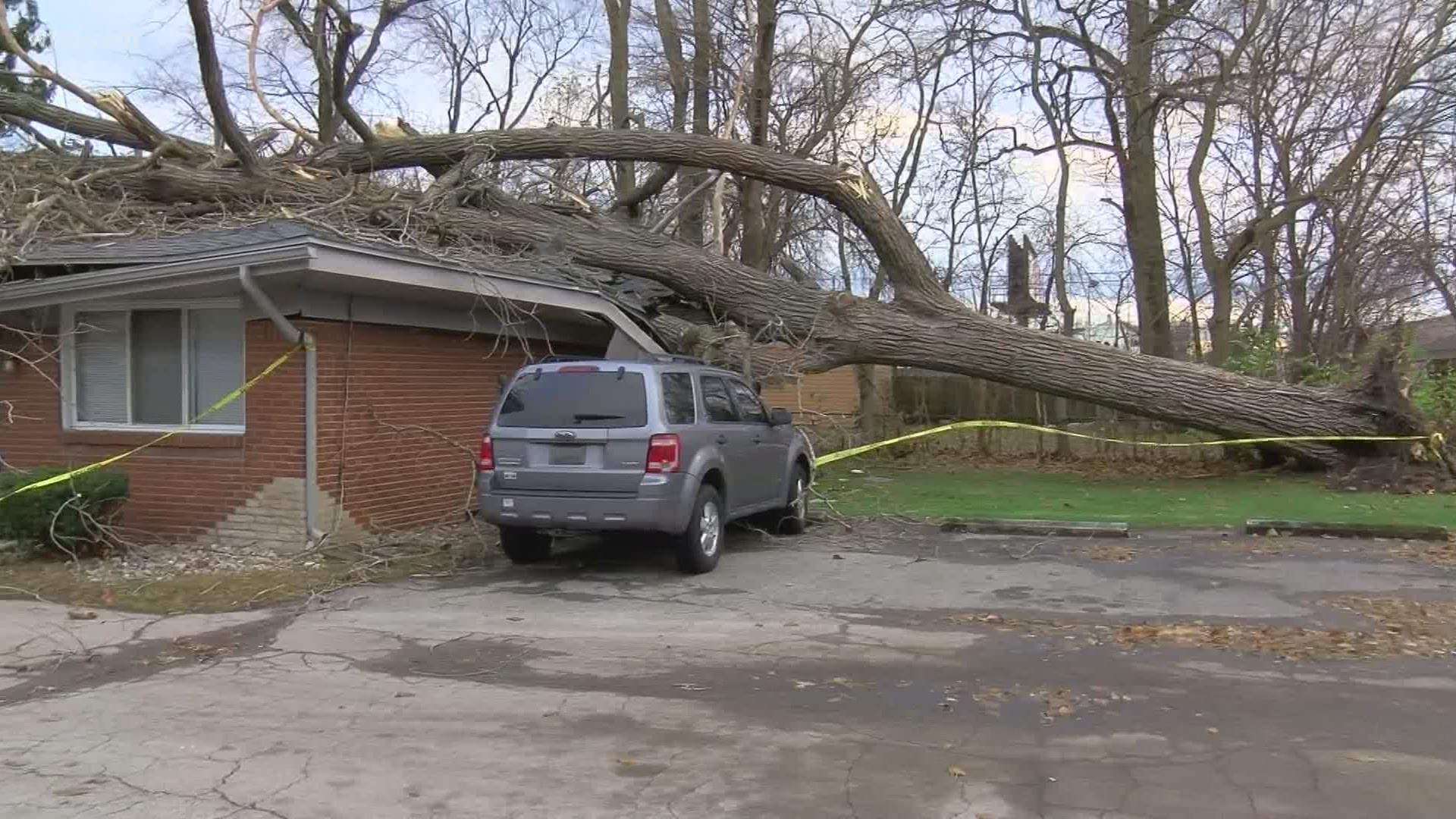 A West Toledo man is ok after high winds bring a massive tree down onto his home while he was sleeping.