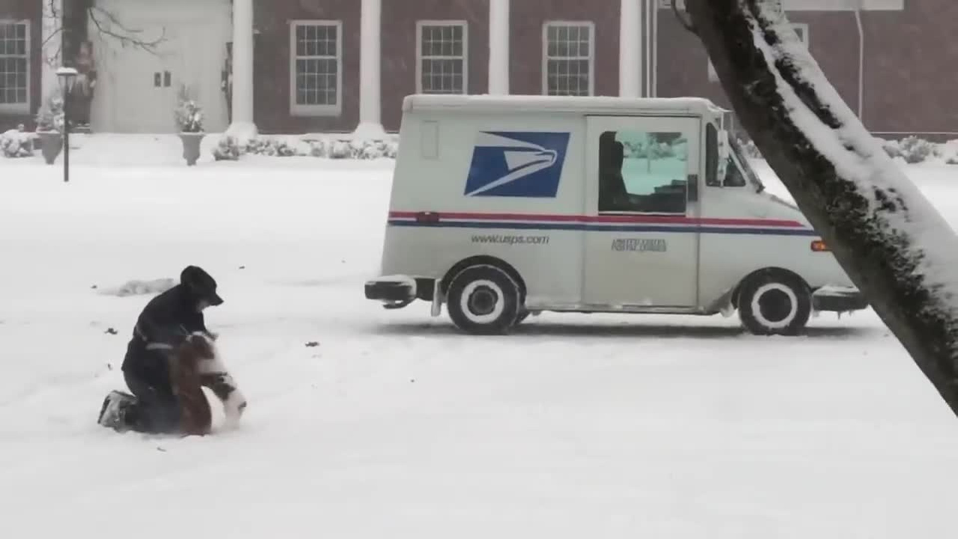 ADORABLE: Mail carrier stops truck to visit with dogs playing in snowstorm